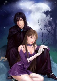 花都赘婿