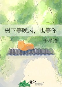 树下等晚风,也等你